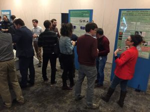 The poster session