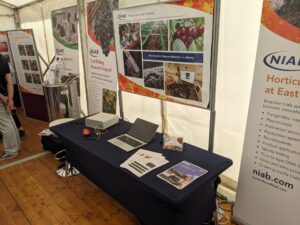 Stand at Fruit Focus with OCT system