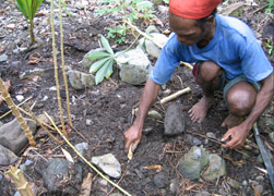 Man digging on soil