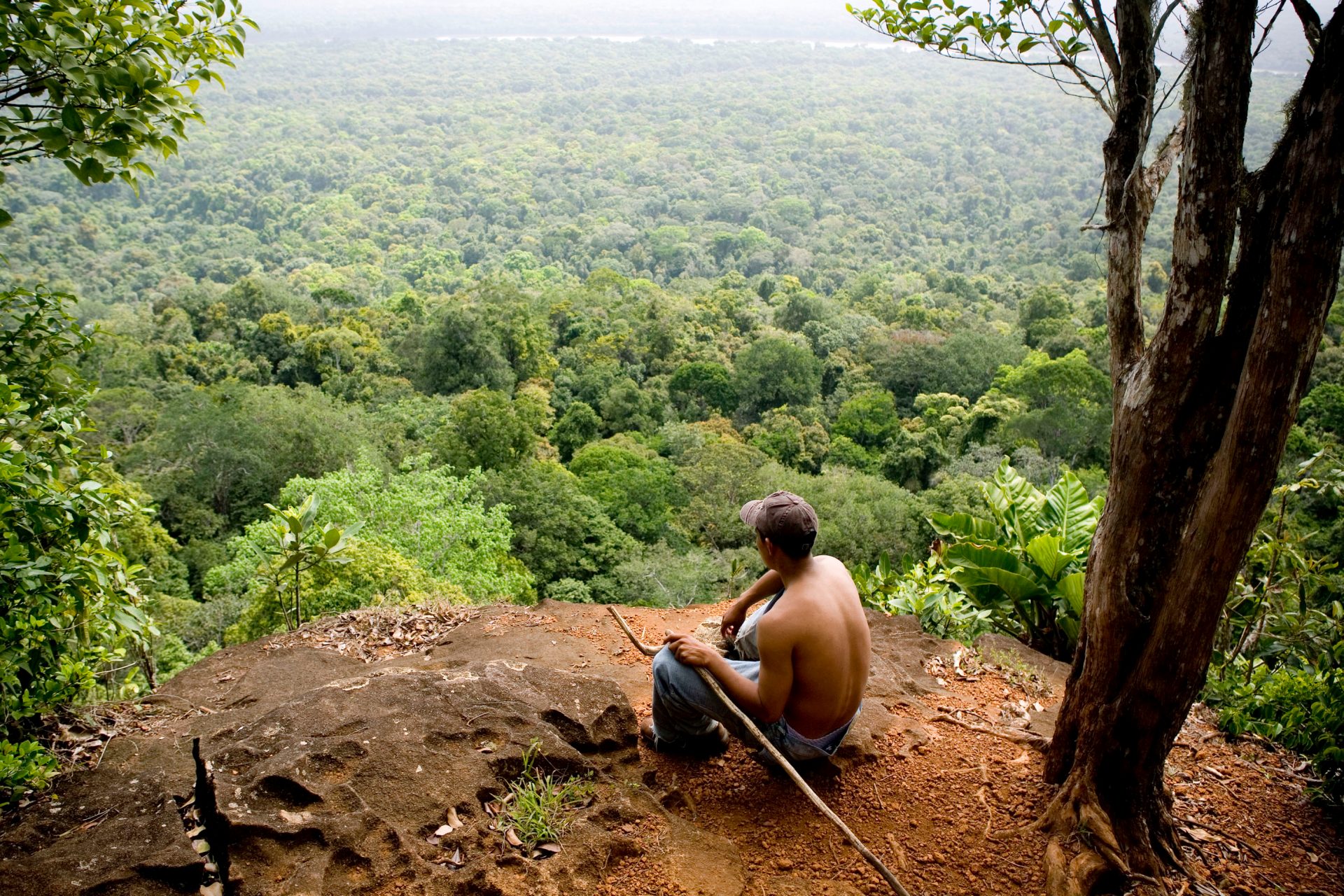 Young man from the Makushi tribe in the rainforest overlooking the canopy.