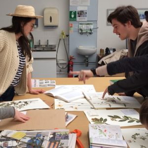 People looking at plant images