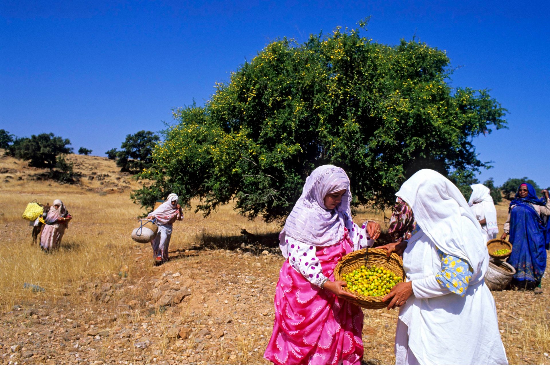 Women in Morocco