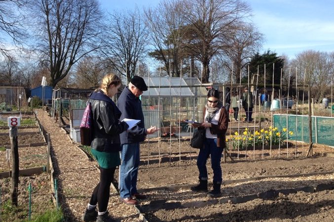 People at a homegarden