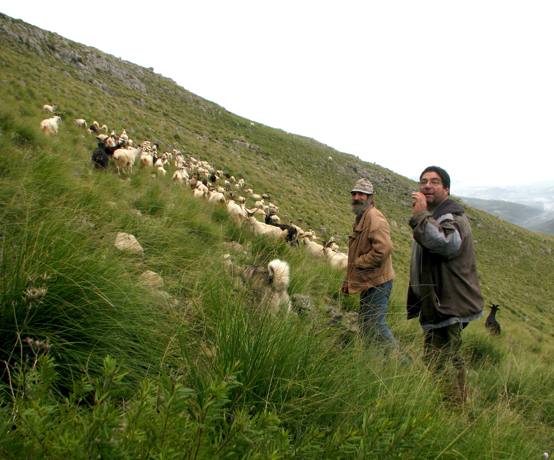 Bringing in Pastoralists’ Voices - Centre for Biocultural Diversity ...