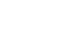 Paragon Veterinary
