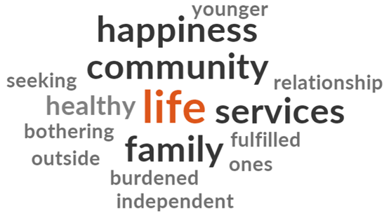 Word Cloud Showing Top Words About the Meaning of Living Well in Old Age