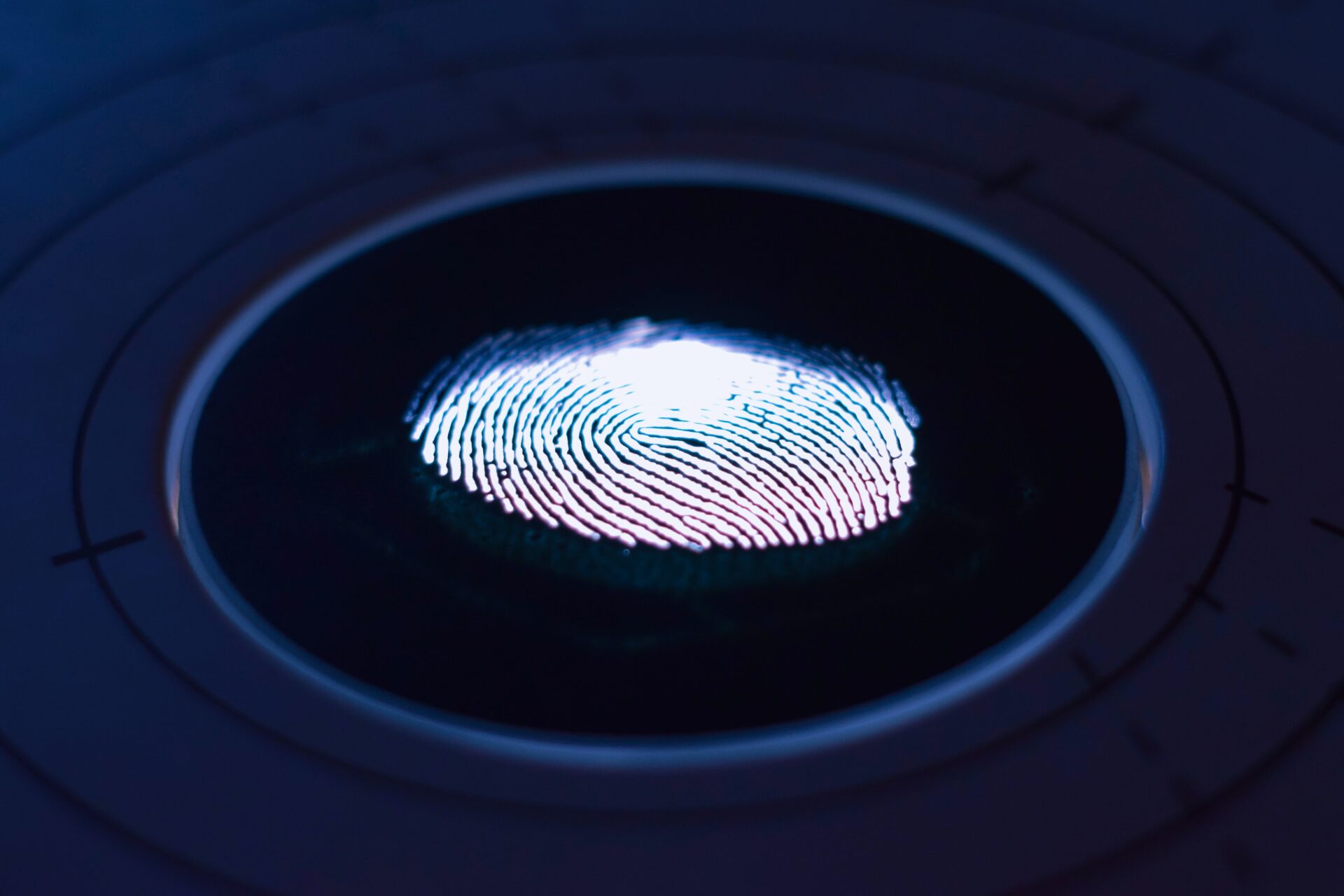 Digital fingerprint photo - by George Prentzas via Unsplash