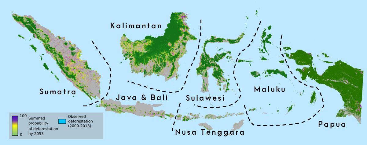 Deforestation risk across Indonesia based on 30 years of forest change data