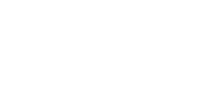 South East Network for Social Sciences