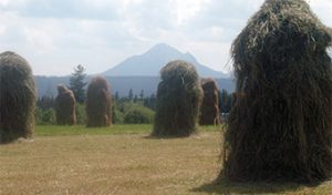 Hill farming grass stacks