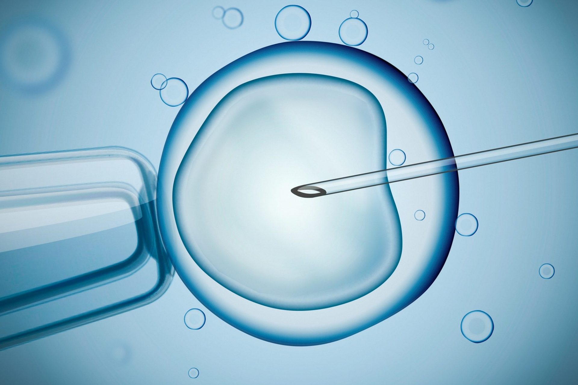Laboratory microscopic research of IVF (in vitro fertilisation).