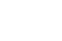 TDSI