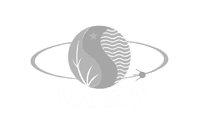 VAST