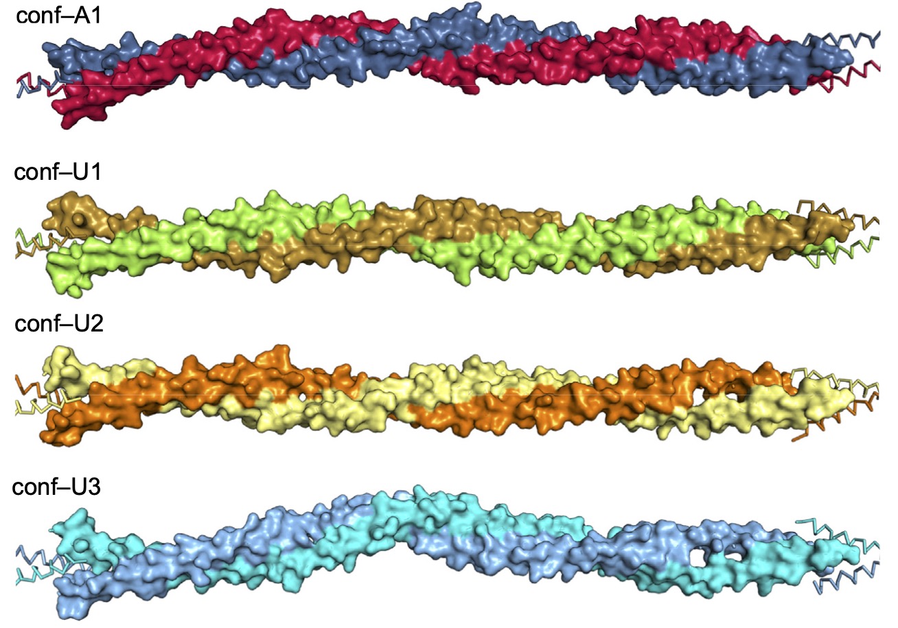 Protein structures