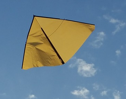 Picture of a kite