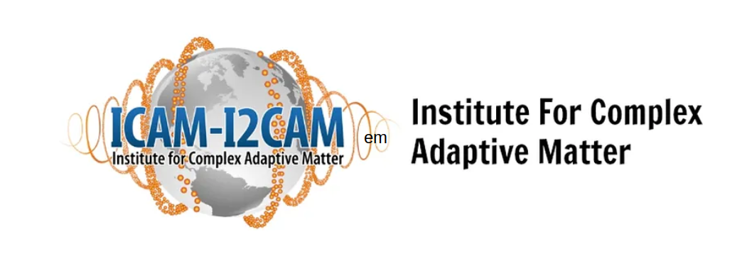 ICAM-I2CAM logo