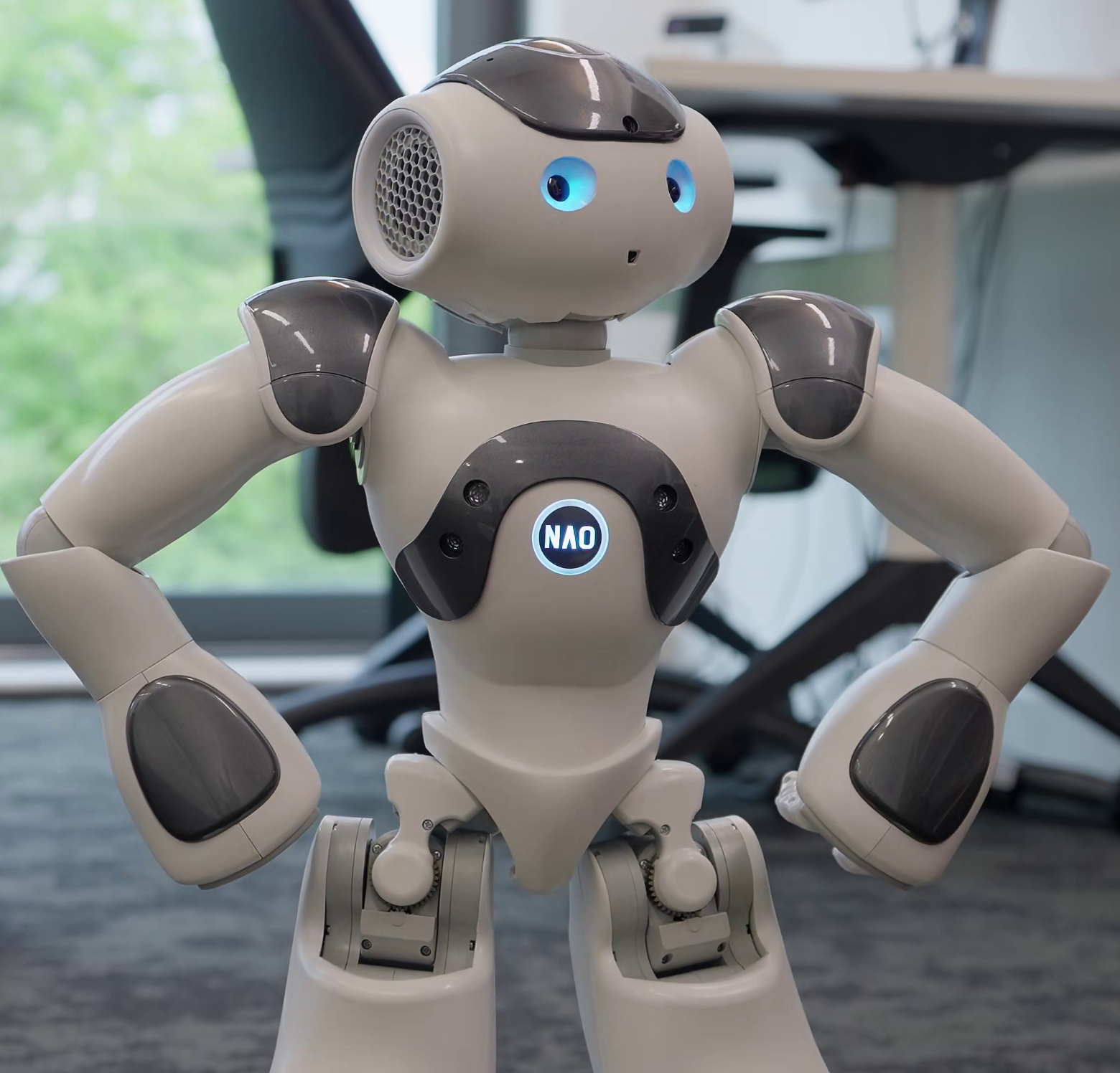 NAO Robot