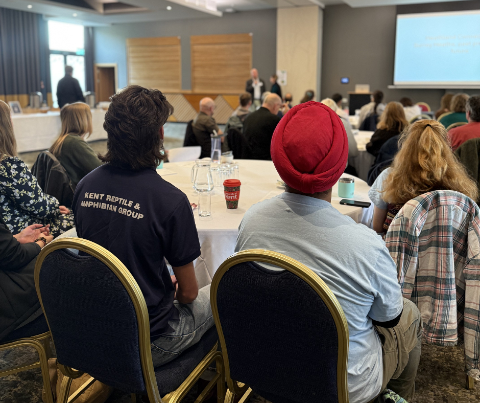 People sit with their backs to the camera, looking at a presentation