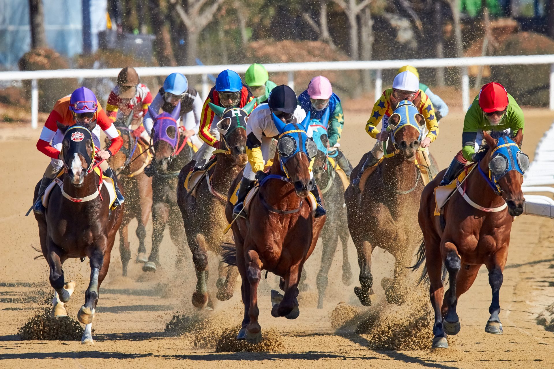 Horses racing on a dirt track