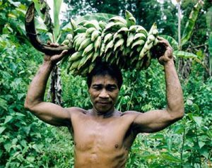 Native man with bananas