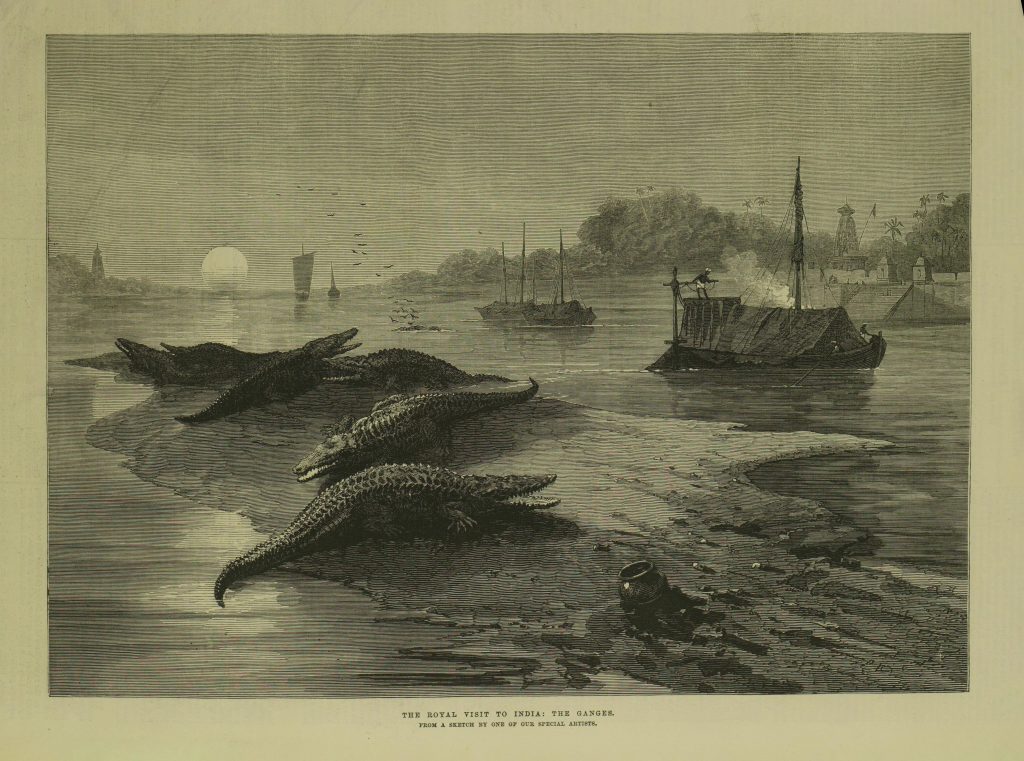 After William Simpson, ‘The Royal Visit to India: The Ganges’, wood engraving, Illustrated London News, 22 January 1876, p. 78.