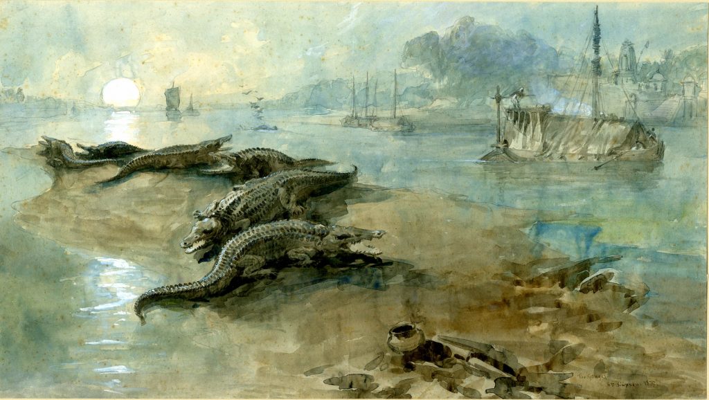 William Simpson, Crocodiles on the Ganges, Watercolour, heightened with white, 1875.